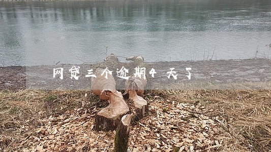 网贷三个逾期4天了 网贷三个逾期4天了