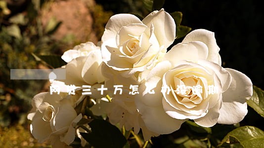 网贷三十万怎么办没逾期 网贷三十万怎么办没逾期
