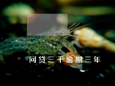 网贷三千逾期三年 网贷三千逾期三年