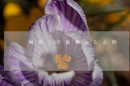 网贷三千逾期会怎么算 网贷三千逾期会怎么算