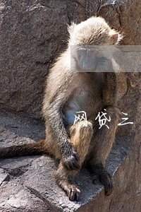 网贷三千逾期六个月利息二千二 网贷三千逾期六个月利息二千二