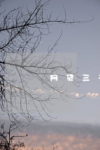 网贷三千逾期还六千 网贷三千逾期还六千