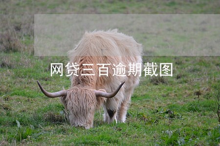 网贷三百逾期截图 网贷三百逾期截图