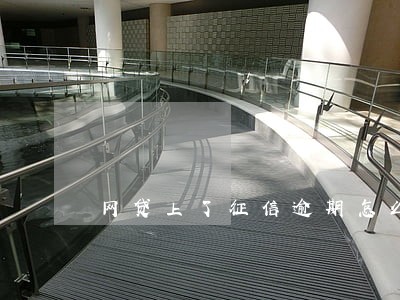 网贷上了征信逾期怎么办 网贷上了征信逾期怎么办