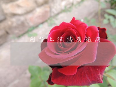 网贷上征信有逾期