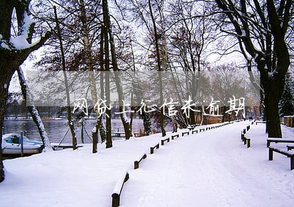 网贷上征信未逾期 网贷上征信未逾期
