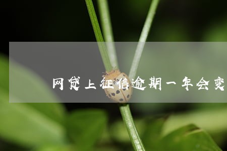 网贷上征信逾期一年会变呆账吗 网贷上征信逾期一年会变呆账吗