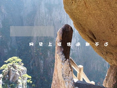 网贷上征信逾期不还