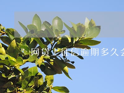 网贷上征信逾期多久会上黑名单 网贷上征信逾期多久会上黑名单