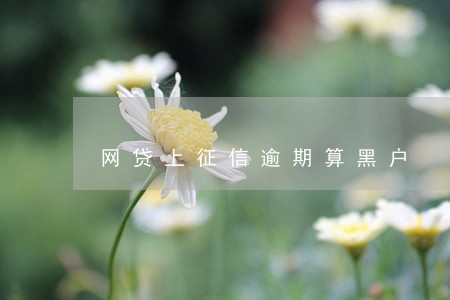 网贷上征信逾期算黑户 网贷上征信逾期算黑户