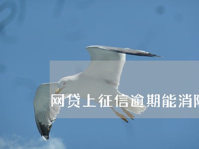 网贷上征信逾期能消除吗 网贷上征信逾期能消除吗