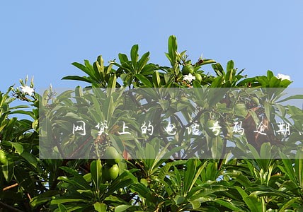 网贷上的电话号码逾期怎么办 网贷上的电话号码逾期怎么办
