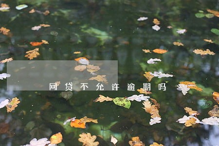 网贷不允许逾期吗 网贷不允许逾期吗