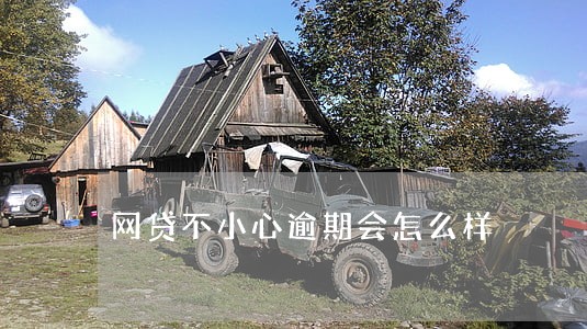 网贷不小心逾期会怎么样 网贷不小心逾期会怎么样