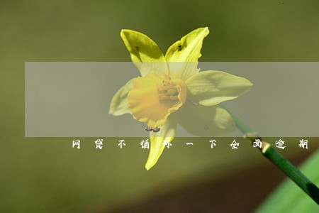 网贷不循环一下全面逾期怎么办 网贷不循环一下全面逾期怎么办