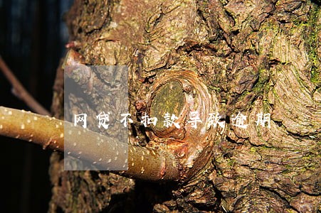 网贷不扣款导致逾期 网贷不扣款导致逾期