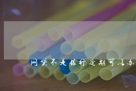 网贷不是银行逾期可以办信用卡吗