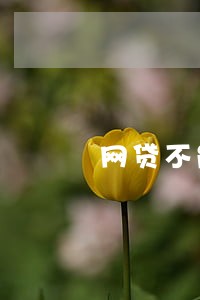 网贷不能借款了没有逾期 网贷不能借款了没有逾期