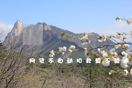 网贷不自动扣款算不算逾期 网贷不自动扣款算不算逾期