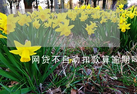 网贷不自动扣款算逾期吗 网贷不自动扣款算逾期吗