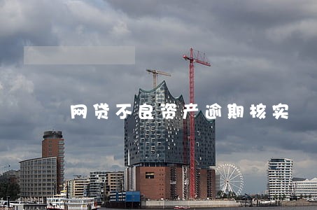 网贷不良资产逾期核实