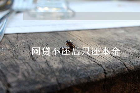 网贷不还后只还本金 网贷不还后只还本金