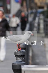 网贷不还后面会不会只还本金 网贷不还后面会不会只还本金