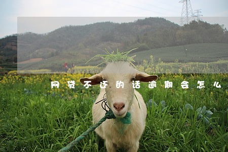 网贷不还的话逾期会怎么计算 网贷不还的话逾期会怎么计算