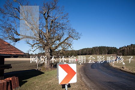 网贷不还逾期会影响孩子上学吗 网贷不还逾期会影响孩子上学吗