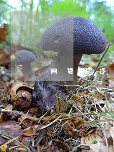 网贷不还逾期多久会被起诉 网贷不还逾期多久会被起诉