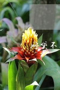网贷不逾期不会打电话催收吗 网贷不逾期不会打电话催收吗