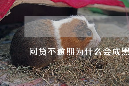 网贷不逾期为什么会成黑户 网贷不逾期为什么会成黑户