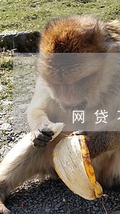 网贷不逾期会上征信么