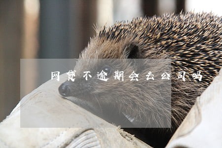 网贷不逾期会去公司吗 网贷不逾期会去公司吗