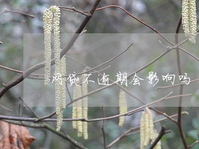 网贷不逾期会影响吗 网贷不逾期会影响吗