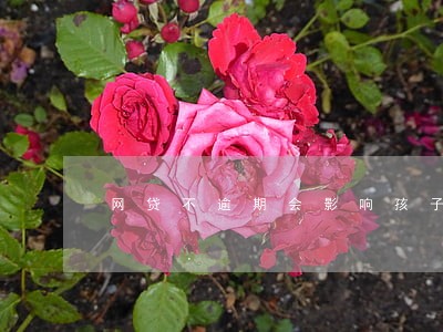 网贷不逾期会影响孩子的高考 网贷不逾期会影响孩子的高考