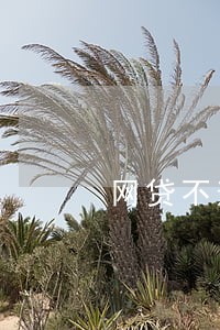 网贷不逾期会影响征信么 网贷不逾期会影响征信么