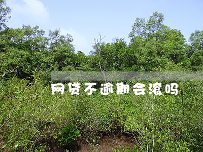 网贷不逾期会滚吗 网贷不逾期会滚吗