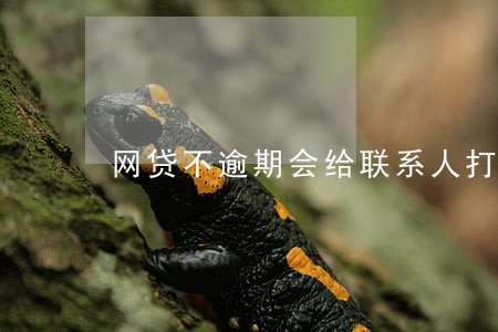 网贷不逾期会给联系人打电话吗 网贷不逾期会给联系人打电话吗