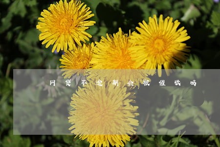 网贷不逾期会被催收吗