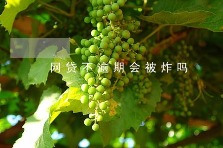 网贷不逾期会被炸吗 网贷不逾期会被炸吗