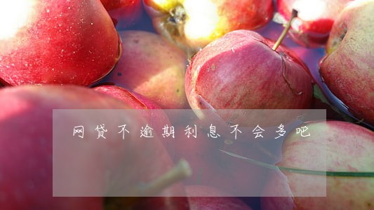 网贷不逾期利息不会多吧 网贷不逾期利息不会多吧