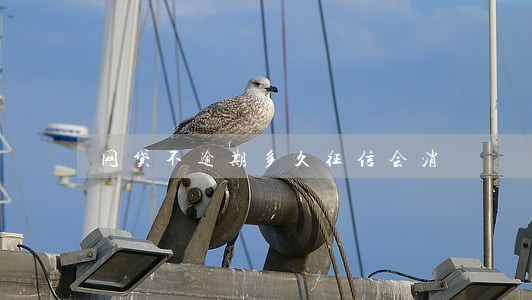 网贷不逾期多久征信会消 网贷不逾期多久征信会消
