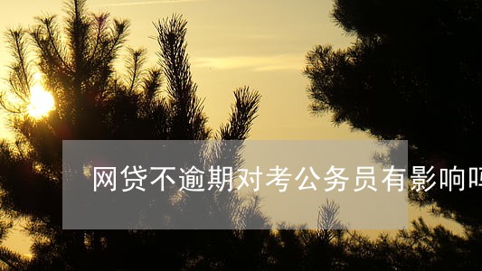 网贷不逾期对考公务员有影响吗 网贷不逾期对考公务员有影响吗