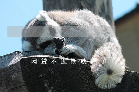 网贷不逾期就行了 网贷不逾期就行了