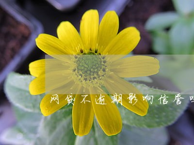 网贷不逾期影响信誉吗 网贷不逾期影响信誉吗