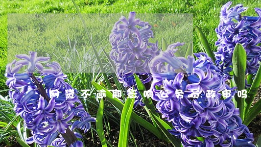 网贷不逾期影响公务员政审吗 网贷不逾期影响公务员政审吗