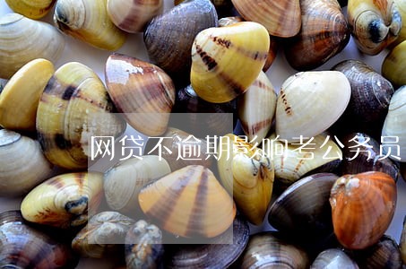网贷不逾期影响考公务员吗 网贷不逾期影响考公务员吗