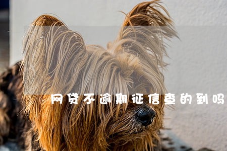 网贷不逾期征信查的到吗 网贷不逾期征信查的到吗