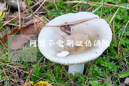 网贷不逾期征信消除 网贷不逾期征信消除